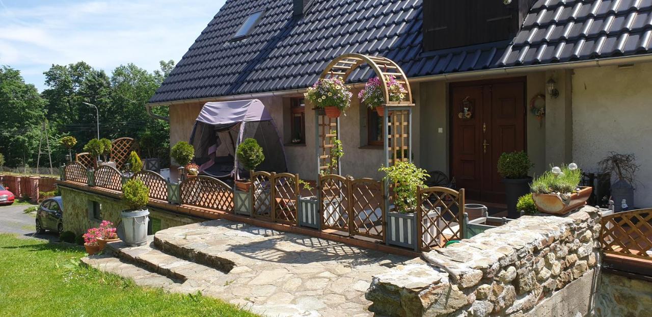 Zagroda Alpakoterapii Świeradów-Zdrój Exterior foto